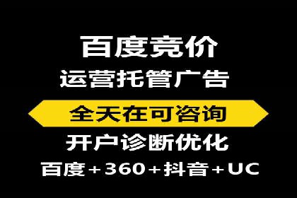 行业头部企业的网站sem托管经验分享